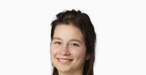 Nycké Heurman DTV Consultants